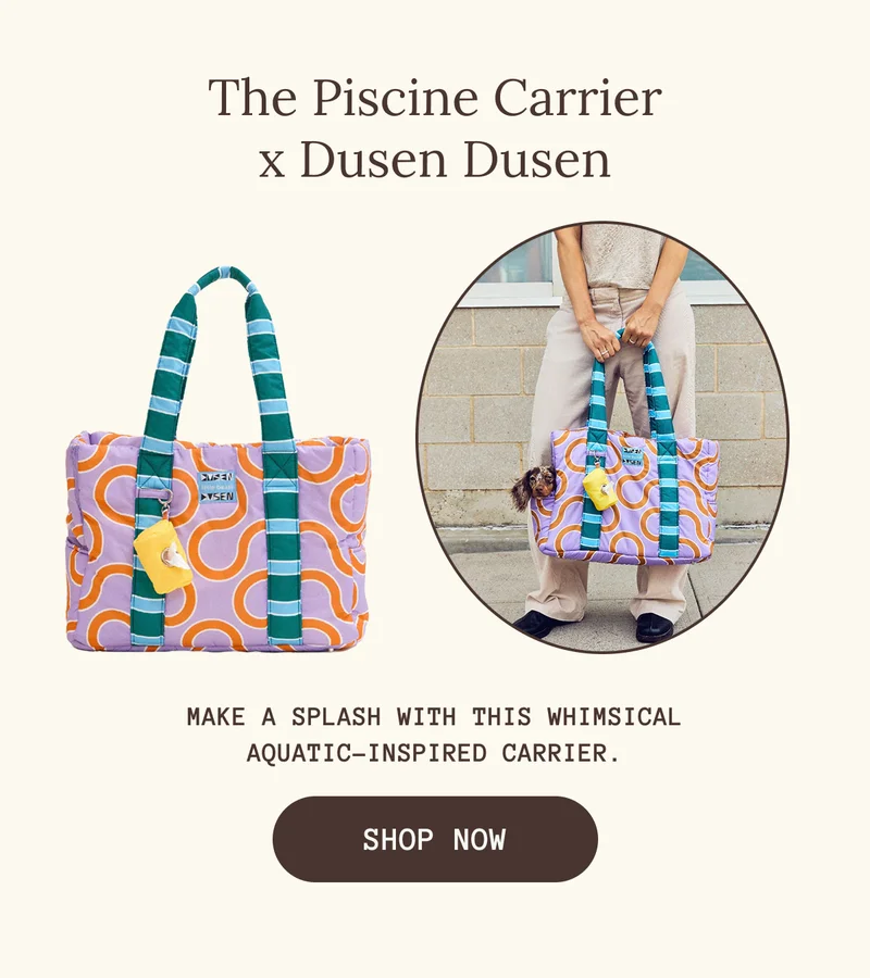 The Piscine Carrier x Dusen Dusen