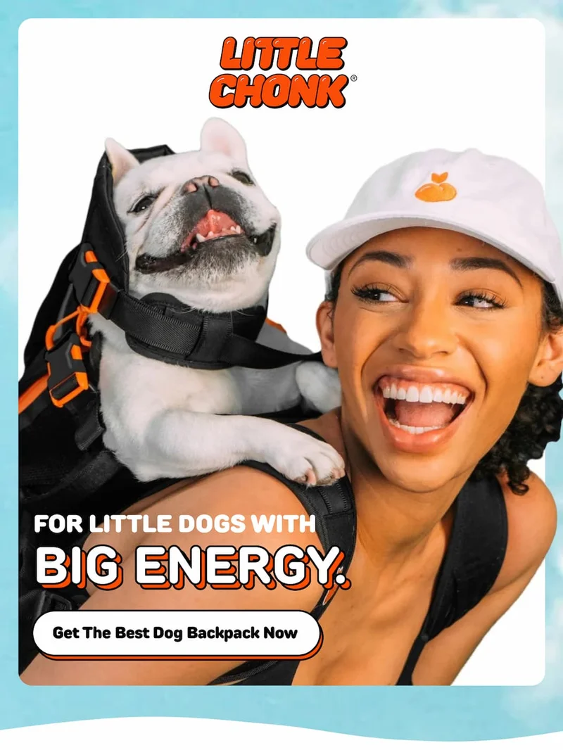 FOR LITTLE DOGS WITH Big Energy. BIG ENERGY.