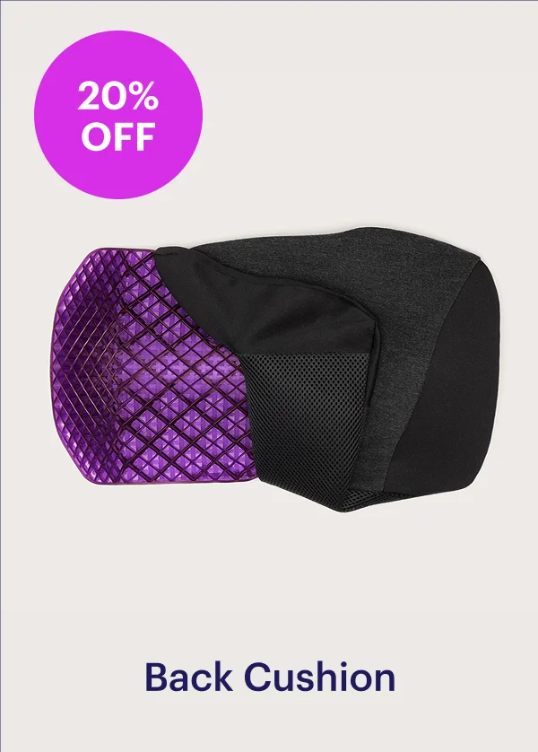 Back Cushion
