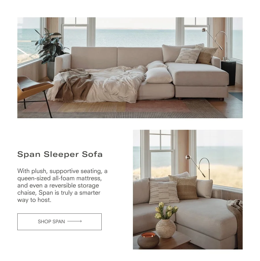 Span Sleeper Sofa