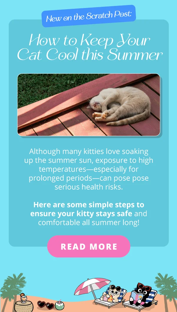 New on the Scratch Post Blog! **How to Keep Your Cat Cool this Summer**  Although many kitties love soaking up the summer sun, exposure to high temperatures—especially for prolonged periods—can pose pose serious health risks. Here are some simple steps&nbsp;to ensure your kitty stays safe and comfortable all summer long! Read more.
