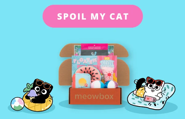 Spoil my cat. Image of the Sandy Beans Resort meowbox (featuring toys like the Floating Feline Floatie, the Hottest Mew Summer Read Vibrating Book Toy, Toasty Tummies SPF30 Sunscreen Kicker and more)