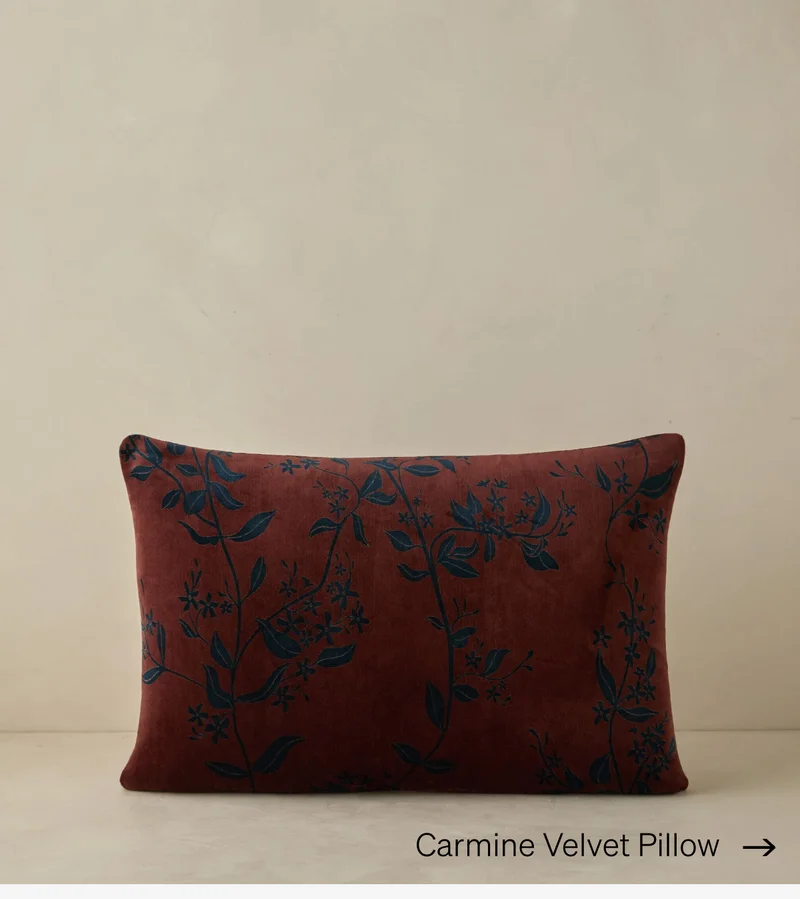 Shop Carmine Velvet Pillow
