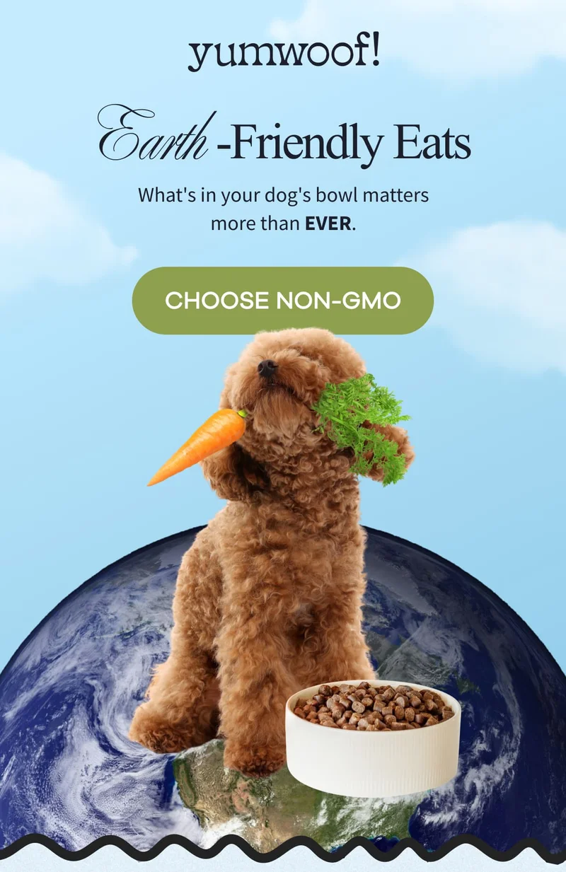 yumwoof! | Earth -Friendly Eats | What's in your dog's bowl matters more than EVER. | CHOOSE NON-GMO