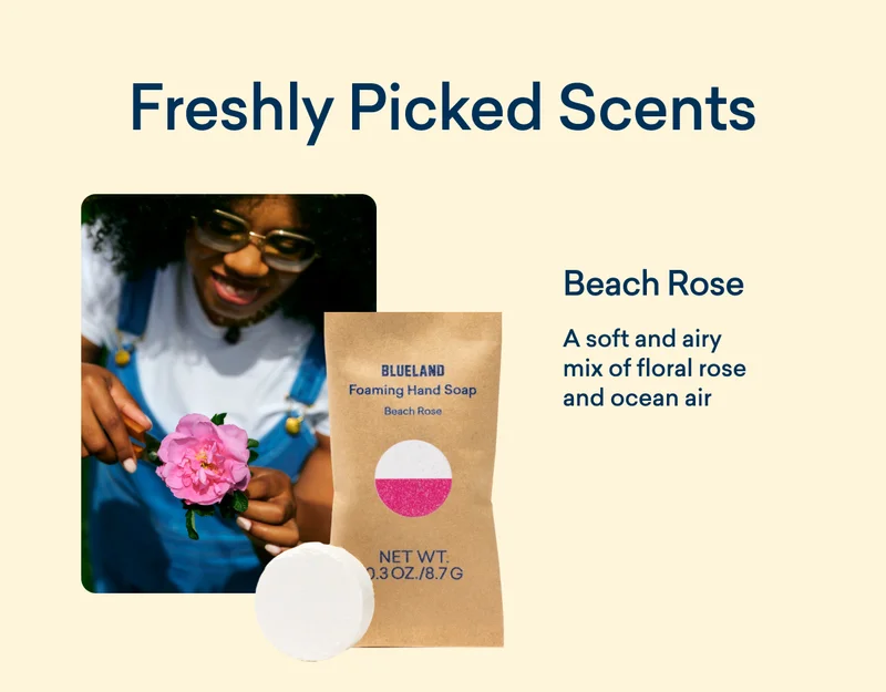 Beach Rose