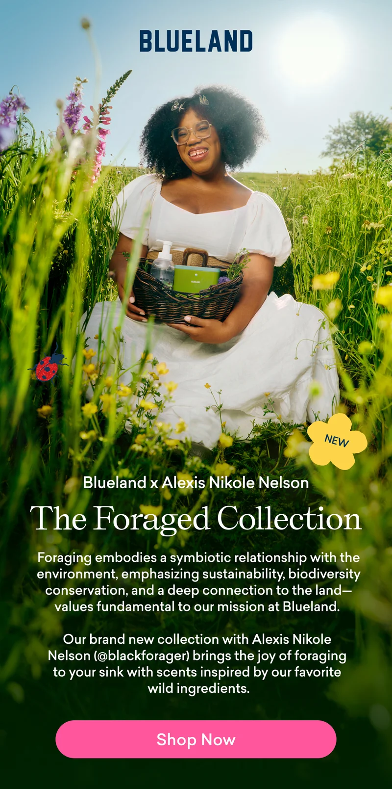 The Foraged Collection