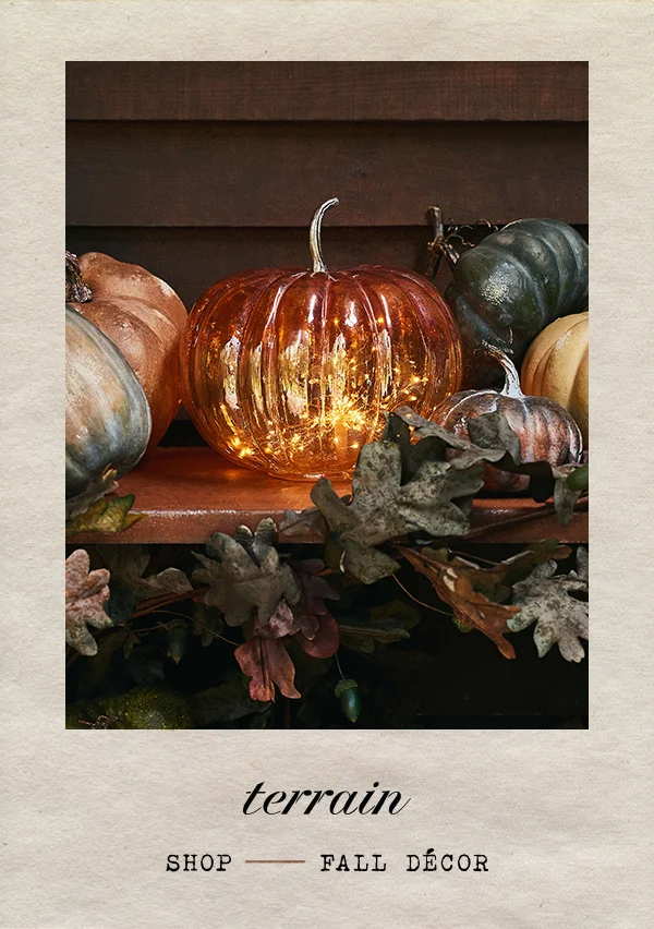 Terrain. Shop fall decor.