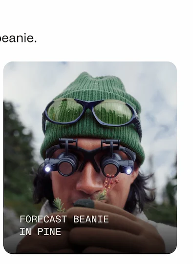 Forecast Beanie in Pine