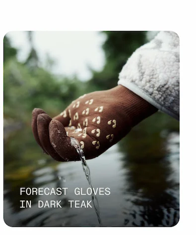 Forecast Gloves in Dark Teak