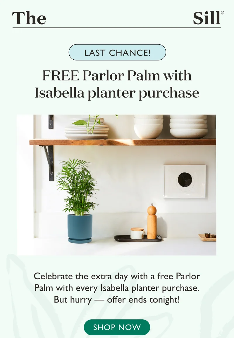 Celebrate the extra day with a free Parlor Palm with every Isabella Planter purchase. No code required.