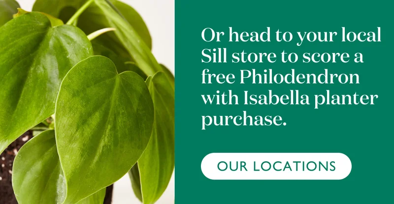 Or head to your local Sill store to score a free Philodendron with Isabella planter purchase.