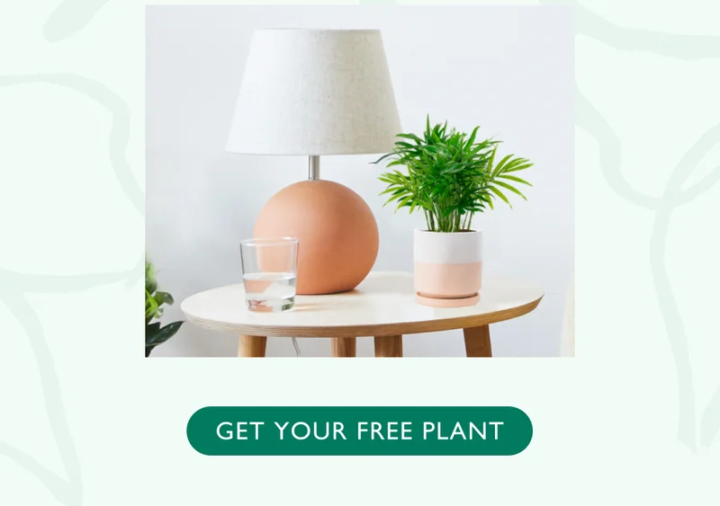 Get Your Free Plant