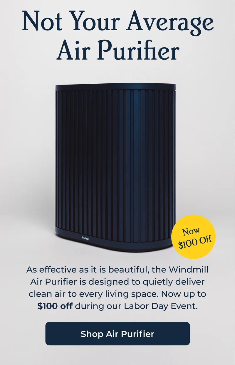 Not Your Average Air Purifier