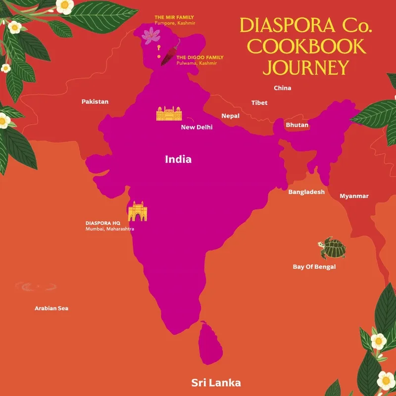 Diaspora Co. Cookbook Journey