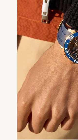 Endeavor Chrono  -  CA4733-00L