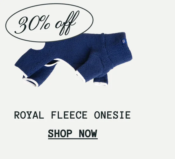 Royal Fleece Onesie