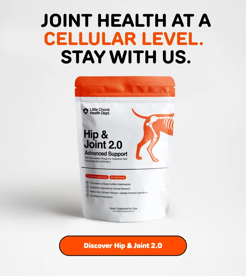 JOINT HEALTH AT A CELLULAR LEVEL. STAY WITH US.