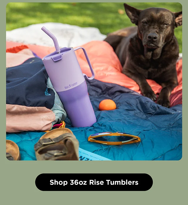 Shop 36oz Rise Tumblers