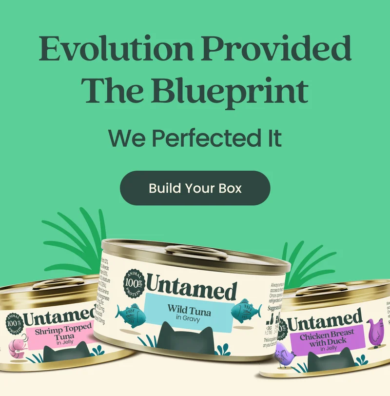 Build Your Box