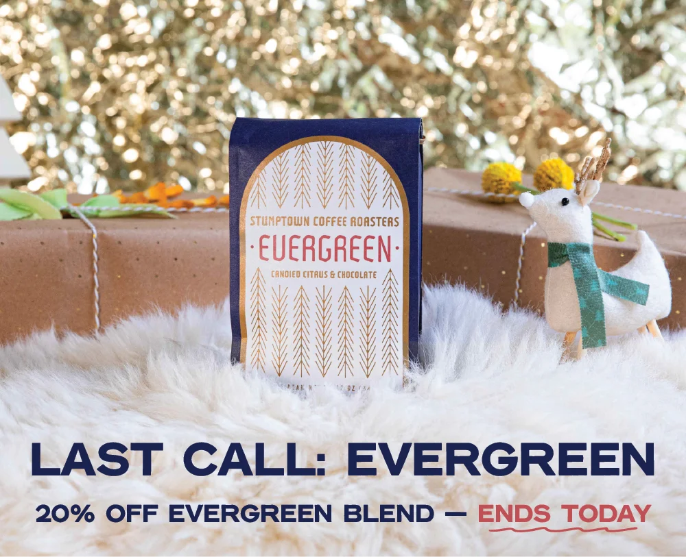 Get 20% off Evergreen blend