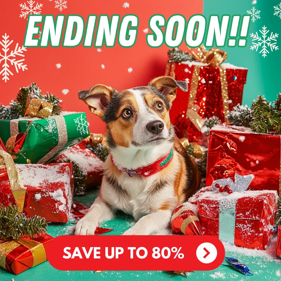 Alpha Paw Pawlidays Alpha Paw Pawlidays