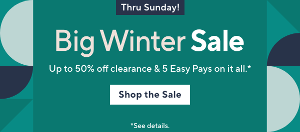 big winter sale