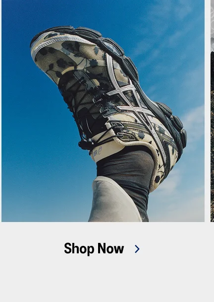 Shop Now >