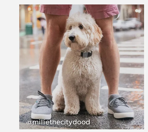 @milliethecitydood