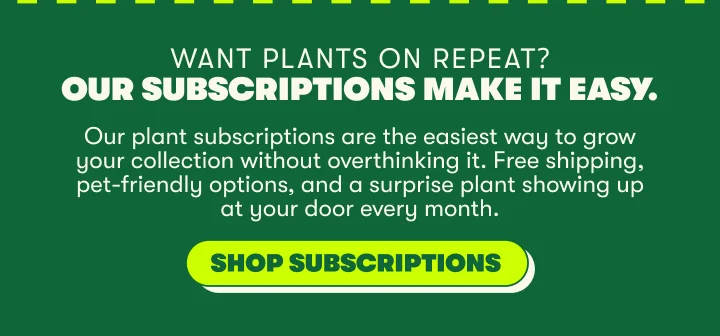Shop Subscriptions