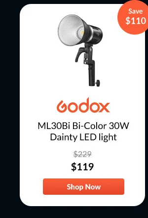Godox ML30Bi Bi-Color 30W Dainty LED light