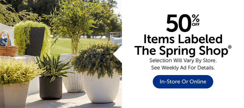 The Spring Shop