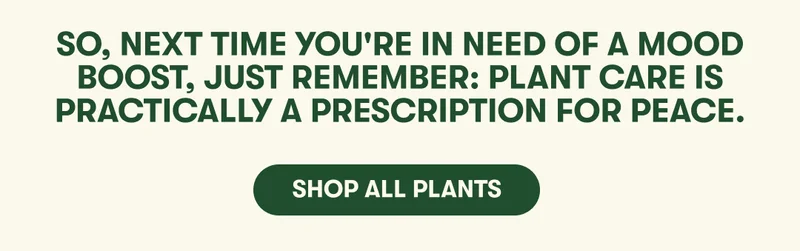 So, next time you're in need of a mood boost, just remember: plant care is practically a prescription for peace.