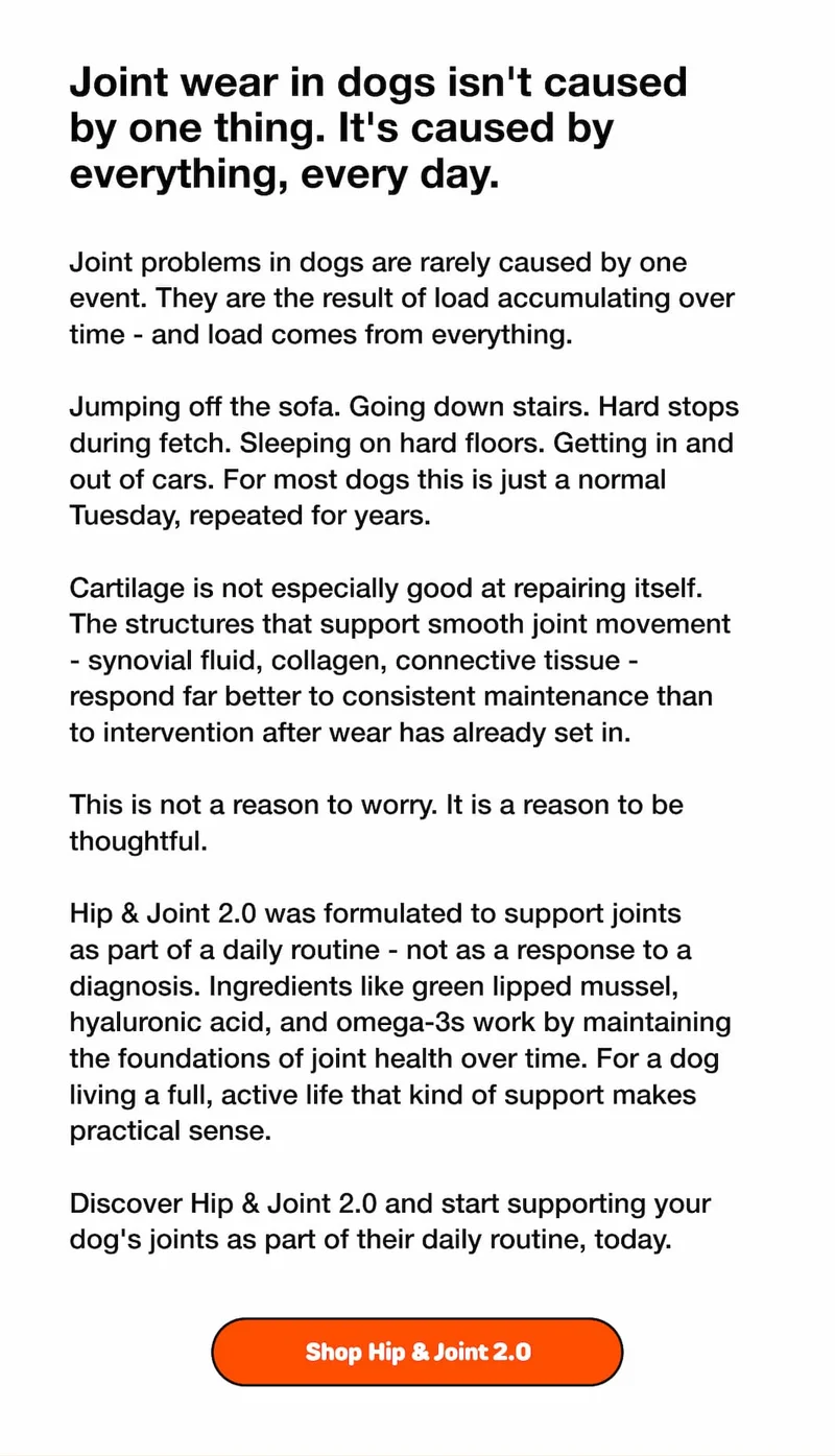 Joint wear in dogs isn't caused by one thing. It's caused by everything, every day.