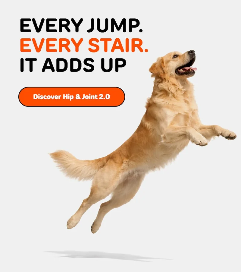 EVERY JUMP. EVERY STAIR. IT ADDS UP