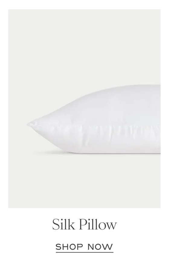Shop Silk Pillows