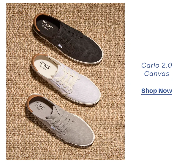 Carlo 2.0 Canvas - Image