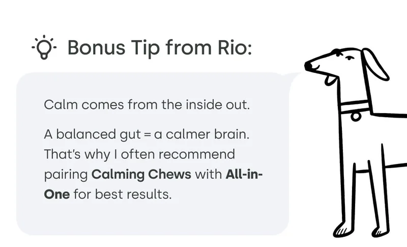 🌱 Bonus Tip from Rio