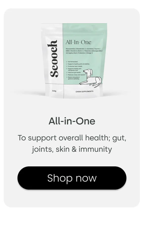 To support overall health; gut, joints, skin & immunity - Shop All-in-one