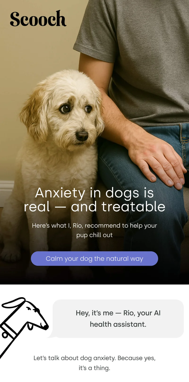 Here’s what I, Rio, recommend to help your pup chill out - Calm your dog the natural way