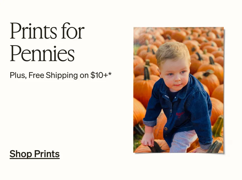 Unlimited Free Photo Book Pages, Up to 50% Off Everything, Buy One, Get One Wall Calendar Free, Prints for Pennies
