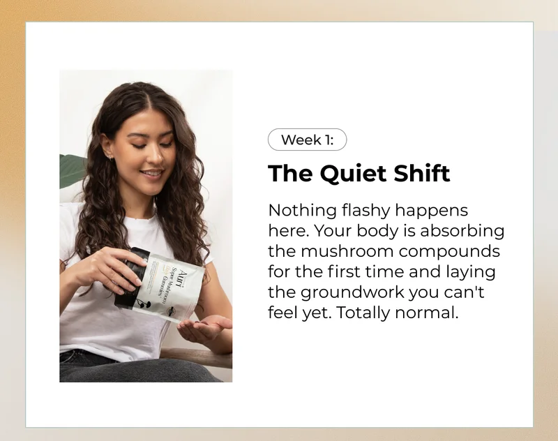 The Quiet Shift