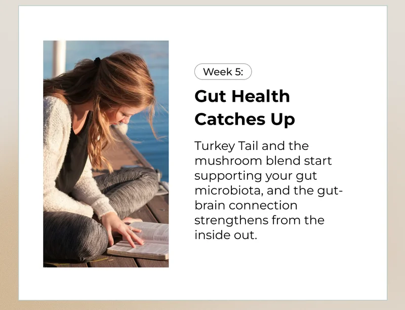Gut Health Catches Up