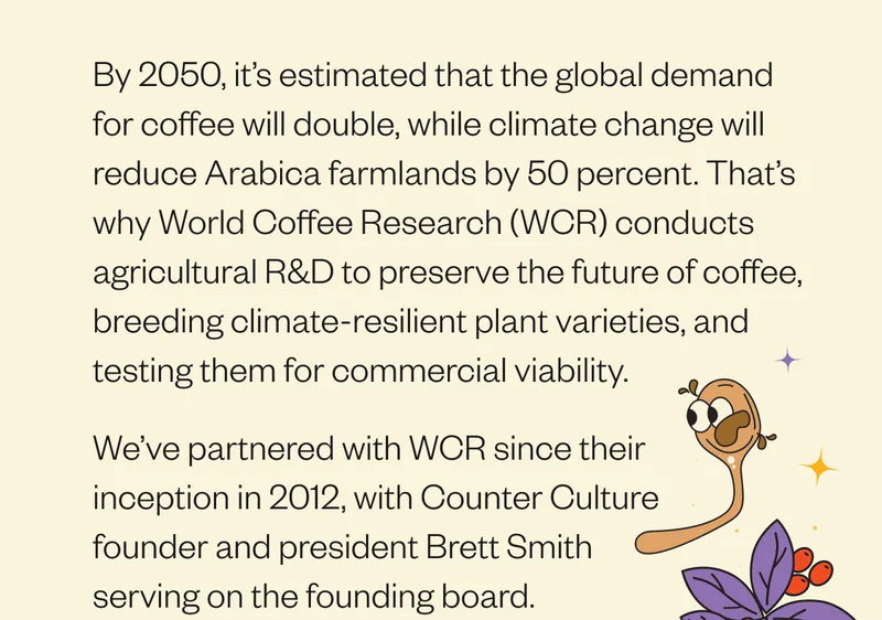 By 2050, it’s estimated that the global demand for coffee will double, while climate change will reduce Arabica farmlands by 50 percent. That’s why World Coffee Research (WCR) conducts agricultural R&D to preserve the future of coffee, breeding climate-resilient plant varieties, and testing them for commercial viability. By 2050, it’s estimated that the global demand for coffee will double, while climate change will reduce Arabica farmlands by 50 percent. That’s why World Coffee Research (WCR) conducts agricultural R&D to preserve the future of coffee, breeding climate-resilient plant varieties, and testing them for commercial viability.
