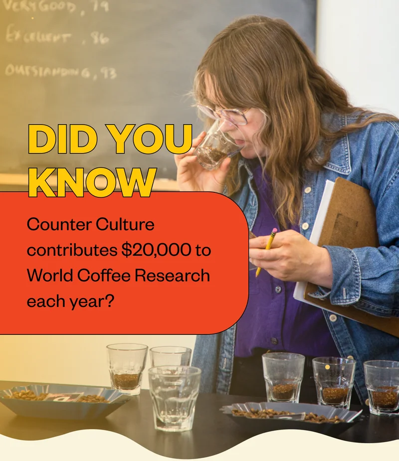 DID YOU KNOW Counter Culture contributes $20,000 to World Coffee Research each year?