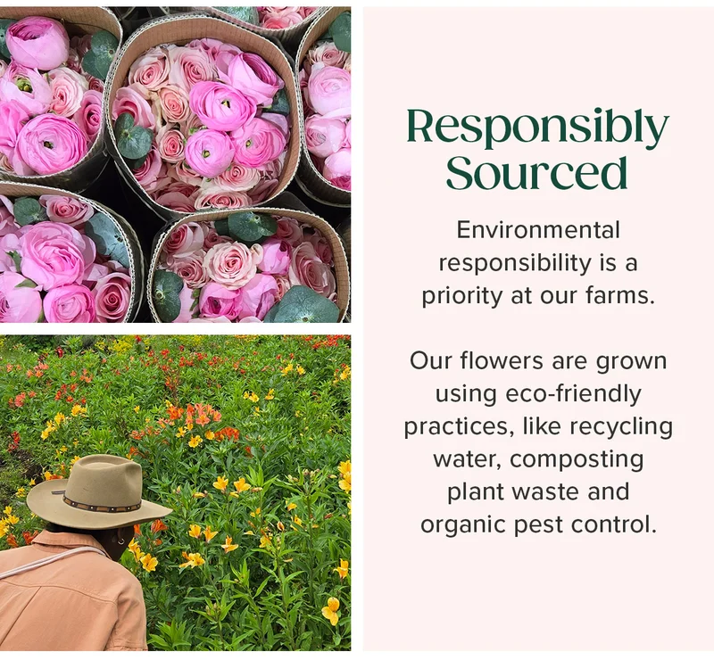 Responsibly Sourced. Environmental responsibility is a priority at our farms. Our flowers are grown using eco-friendly practices, like recycling water, composting plat waste and organic pest control.
