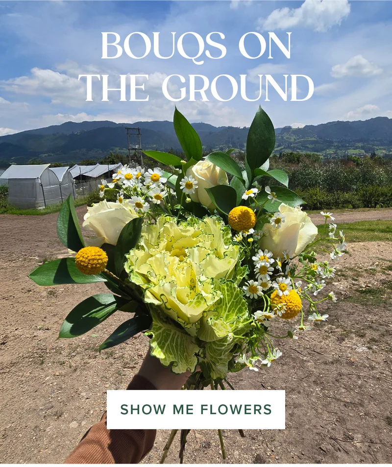 Bouqs on the Ground. Show Me Flowers.