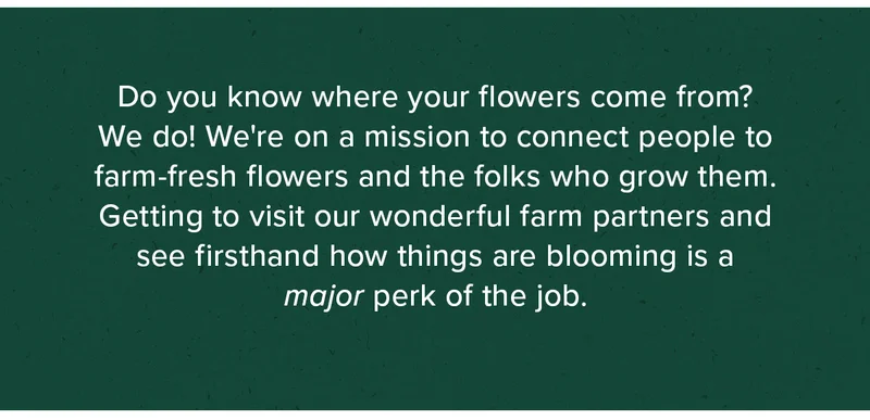 Do you know where your flowers come from? We do! We're on a mission to connect people to farm-fresh flowers and the folks who grow them. Getting to visit our wonderful farm partners and see firsthand how things are blooming is a major perk of the job.