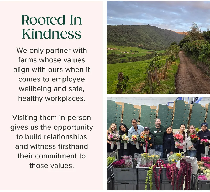 Rooted in Kindness. We only partner with farms whose values align with ours when it comes to employee wellbeing and safe, healthy workplaces. Visiting them in person gives us the opportunity to build relationships and witness firsthand their commitment to those values.