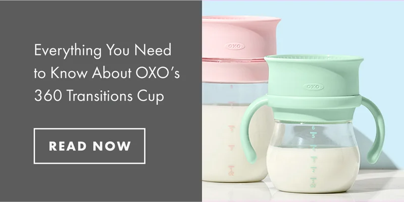 Everything You Need to Know About OXO's 360 Transition Cup | READ NOW