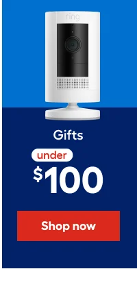 Gifts under $100